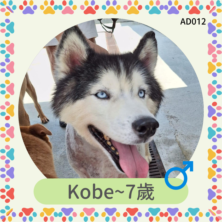 Kobe